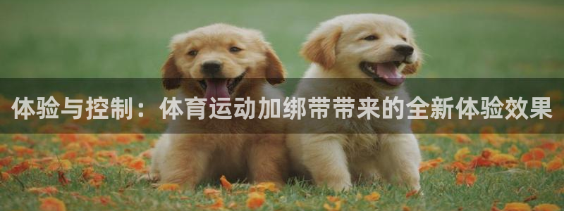 皇冠277体育