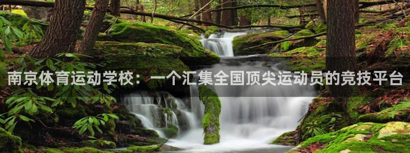 77体育app下载官网