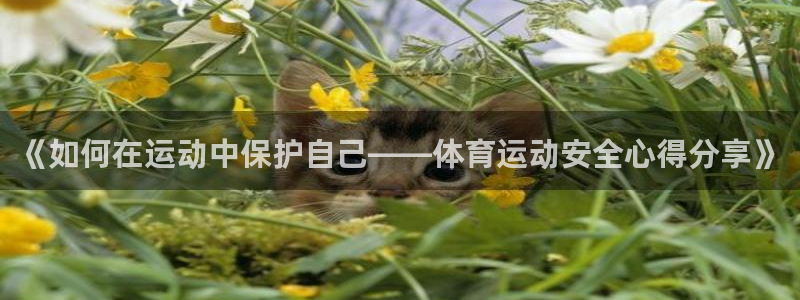 77体育app下载官网：《如何在运动中保护自己——体育运动安全心得分享》