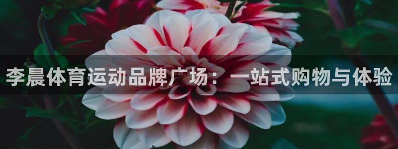 皇冠277体育