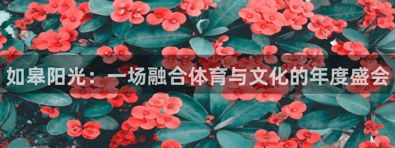 77体育官网：如皋阳光：一场融合体育与文化的年度盛会