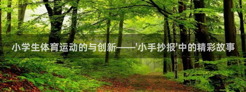 77体育app下载官网：小学生体育运动的与创新——\'小手抄报\'中的精彩故事