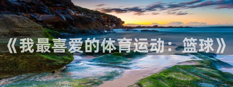 77体育app下载官网